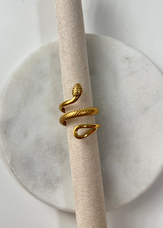 Snake ring (Size 8)